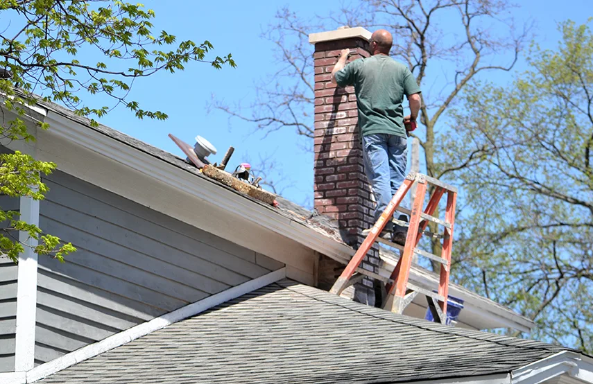 Chimney & Fireplace Inspections Services in Carney, MD